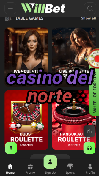 Casino Del Norte - Mexico's Border Casino-casinoorder.vip